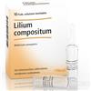 Lilium comp 10f 2,2ml heel - - 800146110