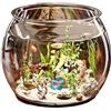 Generico Acquario Di Pesce | Clear Betta Fish Aquariums | Design Trasparente | Vista Senza Soluzione Di Continuità | Contenitore Animale Acquatico Compatto | | Medio | Grande | Per Il