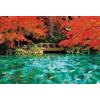 BEVERLY [] Puzzle Beverly 1000 pezzi Laghetto di Monet nei colori autunnali (49 x 72 ...
