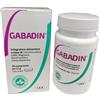 GABADIN 30CPR