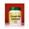 CHRYSANTELLUM AMERICAN 60CPS