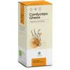 Cordyceps Gheos Integratore Alimentare 90 Capsule Con Estratto Di Cordyceps Per Energia e Benessere Fisico
