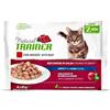 TRAINER NATURAL GATTO UMIDO ADULT MANZO FLOWPACK 85 G X 4 BUSTINA