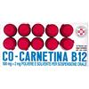 ALFASIGMA SpA Cocarnetina B12*os 10fl 10ml
