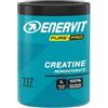 ENERVIT PP CREATINA 400G