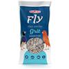 Raggio di Sole Fly Grit Granivori