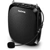 Karma amplificatore portatile BM539
