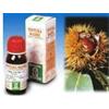 SPECCHIASOL Srl agnocasto 53 50ml tm