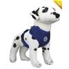 Aqua Coolkeeper Pettorina Refrigerante con Anello Pacific Blue per cane ULTIMI PEZZI