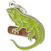 My Family Medaglietta Iguana