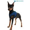 Aqua Coolkeeper Pettorina Refrigerante Cane