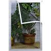 MAODOU 60x100cm,Zanzariera Per Finestra,Zanzariera Con Nastro Magico Protezione Zanzara, Garza nera e adesivi bianchi