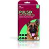 Livisto Pulsix spot on 4 pipette cani da 25 fino a 40 kg