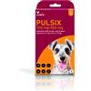 Livisto Pulsix spot on 4 pipette cani da 4 fino a 10 kg