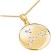 LillyMarie Collana Con Ciondolo Tondo Pendente Segno Zodiacale Pesci In Argento Dorato