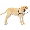 Petsafe - Imbracatura anti-trazione Easy Walk - L - Nera