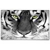 Silent Monsters Tappetino Mouse 36 x 25 cm Tigre, con Bordo Cucito, Durevoli, antiscivolo e silenzioso, gioco, ufficio, casa, lavabile, arrotolabile, Tappetini per il Gaming Mousepad