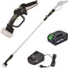 Ribimex PRBAT20/ELAG - Potatore a batteria su asta telescopica - 20V/4Ah