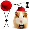 CQJ Set di 2 vestiti per porcellini d'India, papillon per animali domestici, per giochi di ruolo, cappello per animali domestici, papillon per criceti, porcellini d'India, coniglio, cincillà, riccio