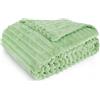 Aomig Coperta, Pile Peluche di Coniglio Coperta, Plaid Divano 100×150cm, Coperta Pelosa Morbida, Coperta Matrimoniale per Il Comfort, Coperta in Pelliccia di Coniglio Finta per Letto Frutta Verde
