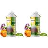 Solabiol Olio Bianco Vegetale di SOIA Concentrato. Potenziatore delle difese delle Piante da attacchi degli Insetti Come afidi, cocciniglia. 1 LT (Confezione da 2)