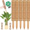 Laufunjoy Supporto per Piante in Muschio da 40 cm, 5 Pezzi Supporto per Piante Monstera Palo di Muschio in Fibra di Cocco Bastoncini Rampicanti Impilabili per Piante Rampicanti da Interno, Edera Pothos