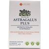 Lao Dan Astragalus Plus 60 Compresse