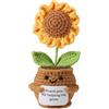 TOYMIS Bambola Girasole Positivo, Grazie per Avermi Aiutato a Crescere Regali Piccola Girasole All'Uncinetto Graziosa Fatta a Mano Decorazione per Scrivania da Ufficio Regali Compleanno Insegnanti