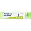 Boiron Phytolacca Decandra 5 CH - Medicinale omeopatico multidose, 80 granuli