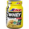 PROACTION Srl PROACTION WHEY WAFER NOCC 700G