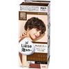 Liese Kao Prettia Bubble Hair Color Dark Chocolate by KAO