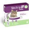 Vectra FELIS per Gatti