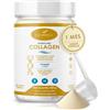 Lazarraga Collagene idrolizzato + peptidi di elastina marine + acido ialuronico + coenzima Q10 + glucosamina + biotina + vitamina C e D e magnesio, per articolazioni forti e cartilagine, pelle liscia ed energia