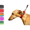 Bub's Collare Martingale - Collare per Cane di Media/Piccola Taglia. Progettato per Tutti i Tipi di Razze di Cani e in Particolare per i Levrieri (Controllo Taglia: Collo 22 a 35). (Rosso)