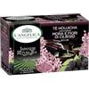 L'Angelica, Tè Verde Houjicha, Aromatizzato alla Mora e Fiori di Ciliegio, Tè Verde Giapponese, Sapore Dolce, Avvolgente, Infusi e Tisane Orientali, 1 Confezione da 15 Filtri