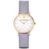 Ally Denovo New Vintage Mini Mesh Orologio da donna con cinturino in maglia milanese, analogico, in acciaio inox AS5005.3, gold, Bracciale