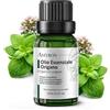 AMYRON Olio Essenziale Origano 100% Puro AMYRON 15 ml | Puro E Naturale 100% | Profumo Intenso e Speziato | Aromaterapia | Diffusore e Ambiente.