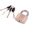 Amtech T0725 Lucchetto di Sicurezza, Multicolore, 50 mm