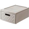 Rotho Country Cassettiera 8.3 l con 1 cassetto in rattan, Plastica PP senza BPA, Marrone(Cappuccino), Piccolo, 8.3l, 35.0 x 26.0 x 14.5 cm