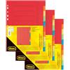 Idena 90267 - Schedario in cartoncino per documenti DIN A4, 22,5 x 30 cm, 30 divisori in 10 colori, 150g/m², organizer con perforazione Euro e stampa organizzazione