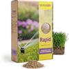 BIASION® RAPID Semi Prato a Rapida Crescita 1kg per 30m², Miscuglio professionale per rigenerare prati danneggiati, diradati e degradati, per sole e mezz'ombra