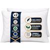 FH FAM' HOME HOME COSINESS FAM Home Cuscino Letto 50x70 Guanciale 2 Pezzi, Anallergico, Traspirante | Set da 2 cuscini. Oeko-Tex Standard 100, ergonomico, anallergico, lavabile fino a 95°C, alta traspirabilità, qualità di lusso