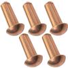 AERZETIX - C48043- Set di 5 rivetti in rame Ø6x16mm con testa semirotonda - rivetto bombato - rivetto pieno/rivetto autobloccante - DIN 660