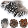 MWOOT 300 Pezzi Piume di Gallo Miste Piume di Fagiano Naturale Adotto per Decorazione Vigilia d'Ognissanti Abbigliamento Maschera Orecchini Acchiappa Sogni Copricapo Festa Matrimonio Fai da Te