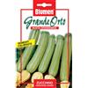 Blumen zucchino genovese chiaro
