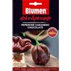Blumen peperone habanero chocolate