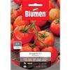 Blumen pomodoro a grappolo f.1