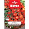 Blumen pomodoro zucchero f.1
