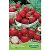 Germisem Rügen Semi di Fragola 0.3 g