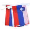 AZ FLAG Ghirlanda 6 Metri 20 Bandiere Slovenia 21x15cm, Bandiera Slovena 15 x 21 cm - Festone Bandierine